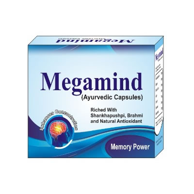 megamind